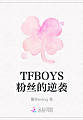 TFBOYS粉丝的逆袭