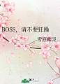 BOSS，请不要狂躁