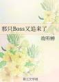 那只Boss又追来了